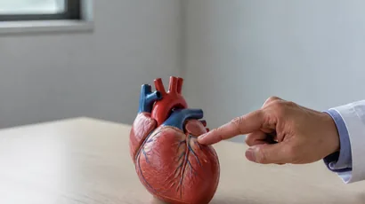 Esquema del corazón usado para explicar los distintos tipos de problema cardíaco